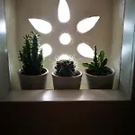 Terraviva فندق مبيت وإفطار بولينيانو آ ماري