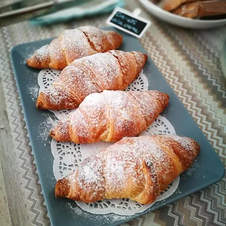 Terraviva 폴리나노 아마레