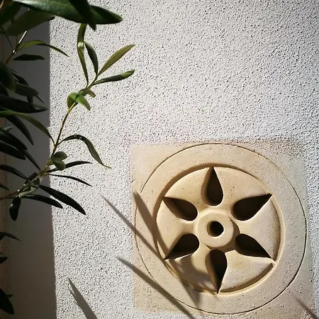 לינה וארוחת בוקר Terraviva 3*