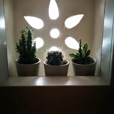 Terraviva 住宿加早餐酒店 滨海波利尼亚诺