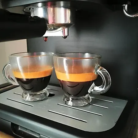 Terraviva 3*