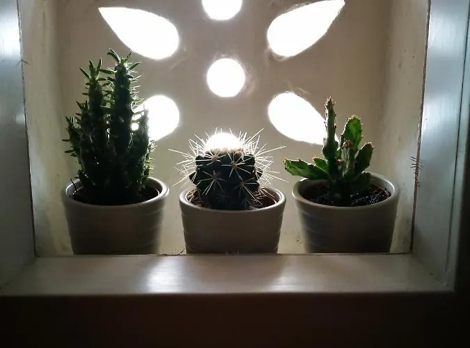 Terraviva Отель типа 